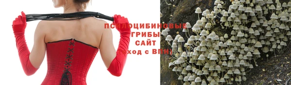 кокаин Гусев