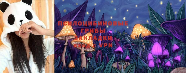 стафф Гусь-Хрустальный