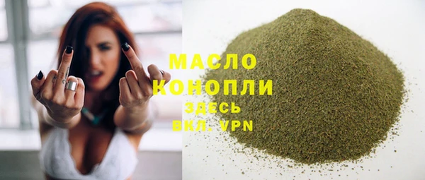стафф Гусь-Хрустальный